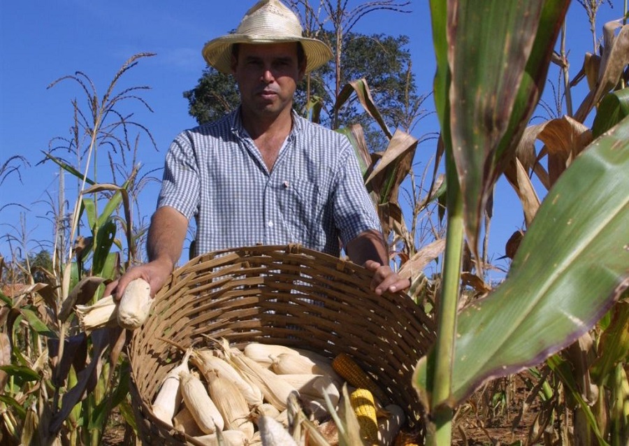 Agroinfluencers ajudam a promover a agricultura